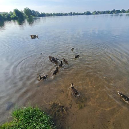 Ferienhaus Am See-2 Hungen Zewnętrze zdjęcie