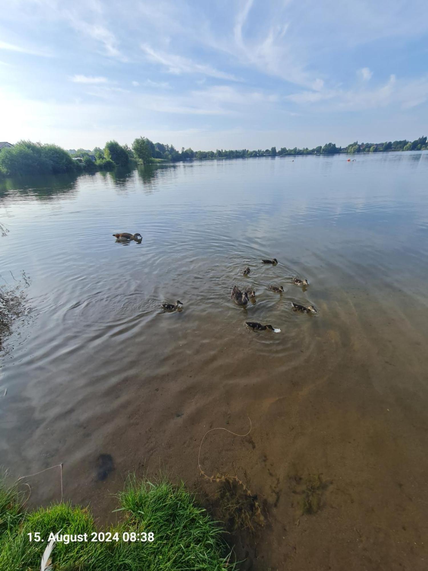 Ferienhaus Am See-2 Hungen Zewnętrze zdjęcie