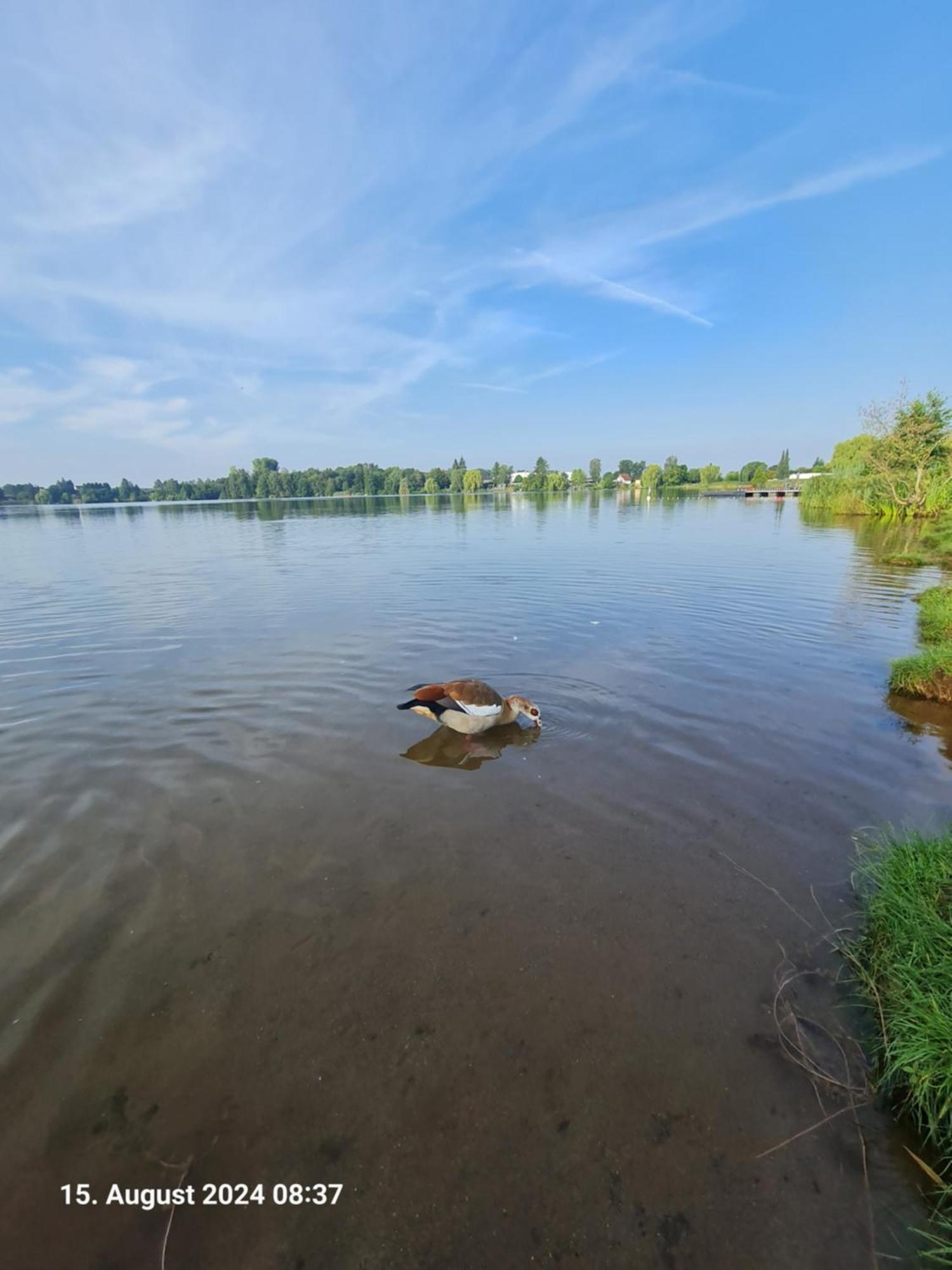 Ferienhaus Am See-2 Hungen Zewnętrze zdjęcie
